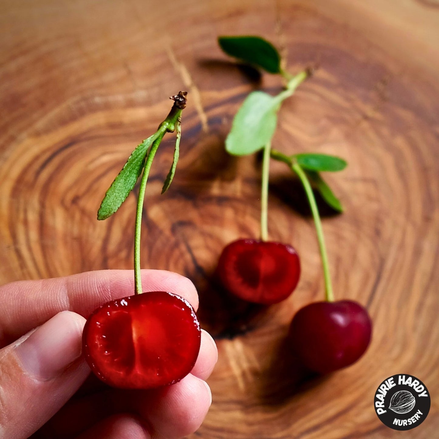 Athos Cherry