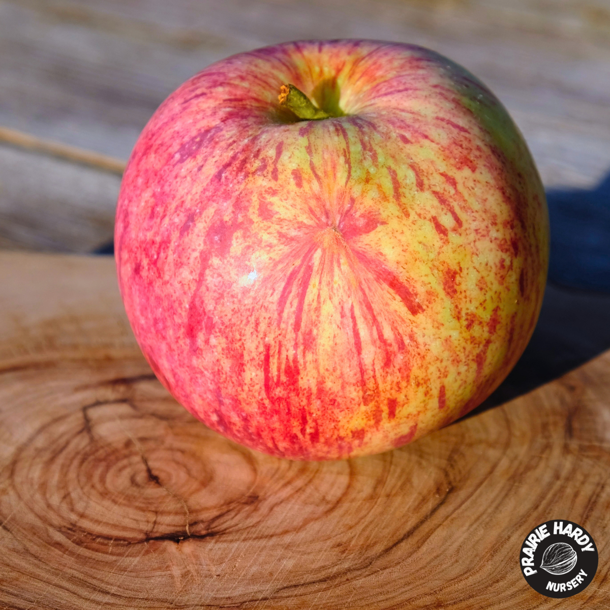 Boris Apple