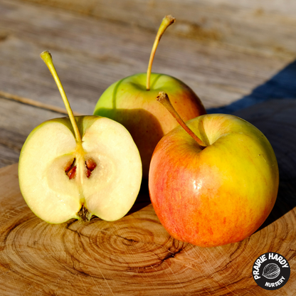 Boughen Delight Apple