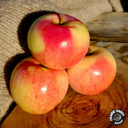 Red Sparkle Apple